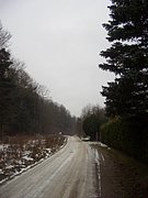 CIMG3326.JPG