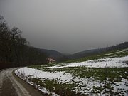 CIMG3330.JPG