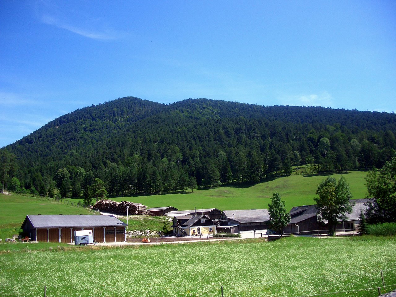 CIMG6315.JPG
