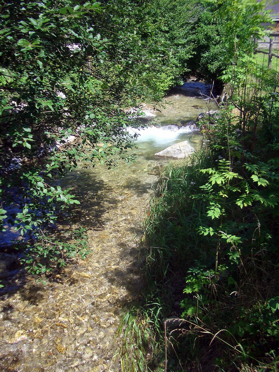 CIMG6317.JPG