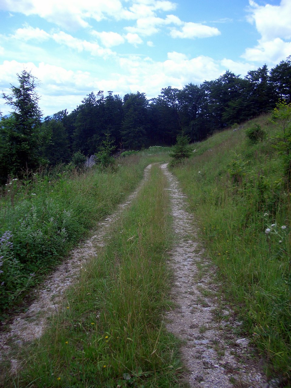 CIMG6331.JPG
