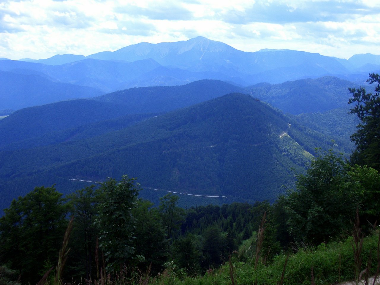 CIMG6334.JPG