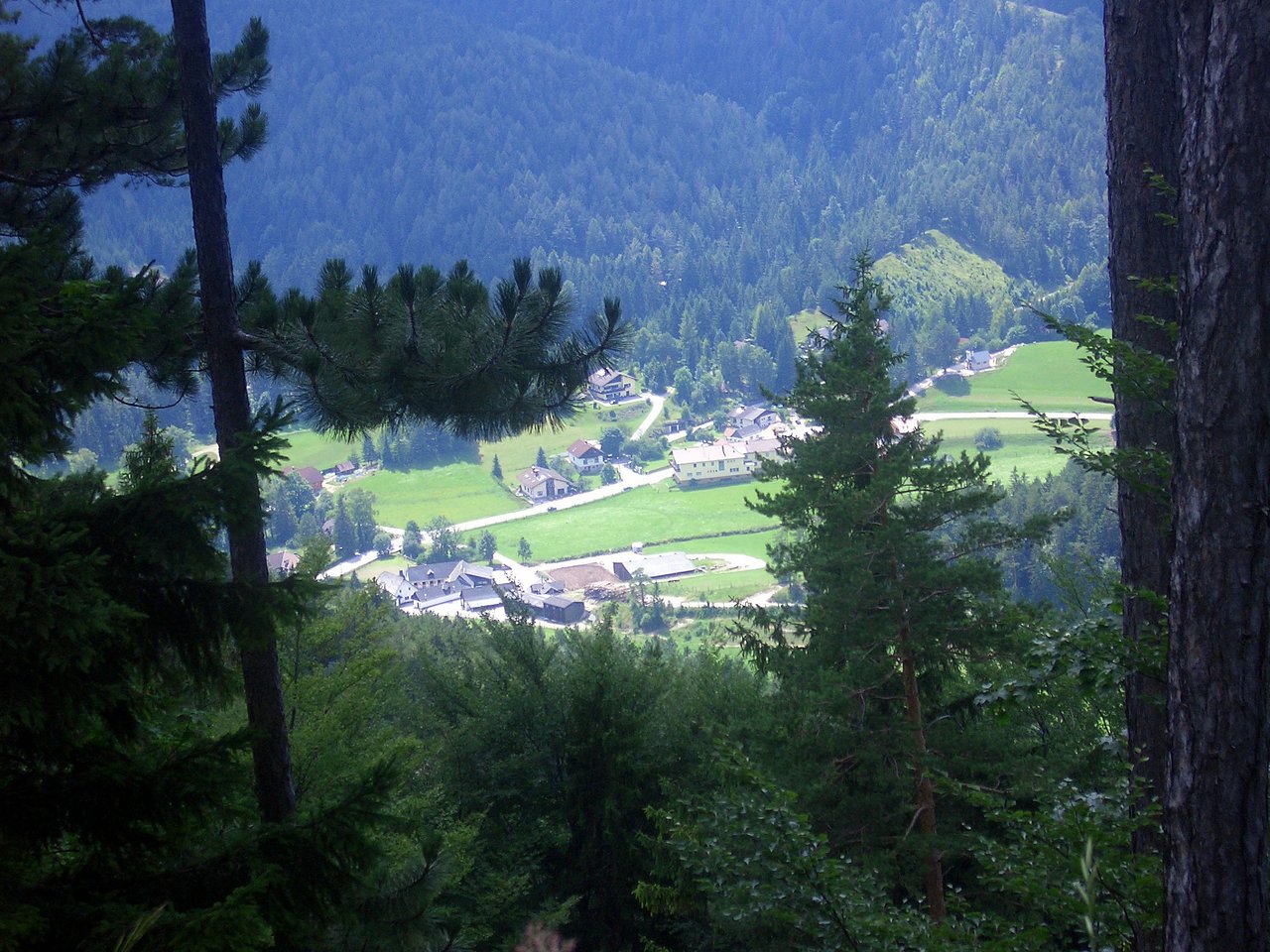 CIMG6338.JPG