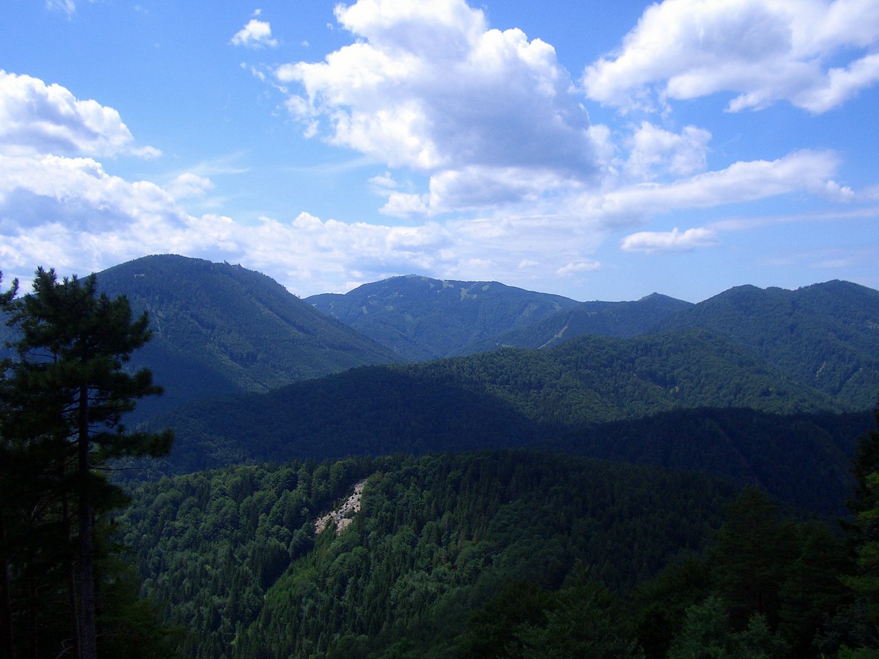 CIMG6340.JPG
