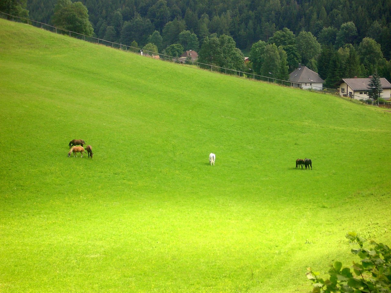 CIMG6345.JPG