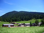 CIMG6315.JPG