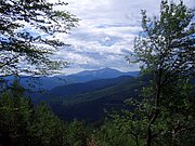 CIMG6321.JPG