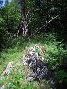 CIMG6328.JPG
