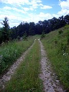 CIMG6331.JPG