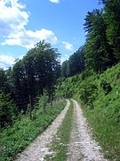CIMG6337.JPG