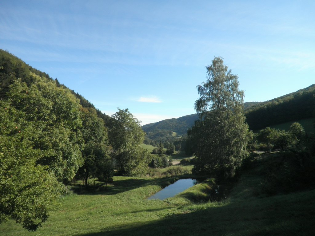 P9100006.JPG