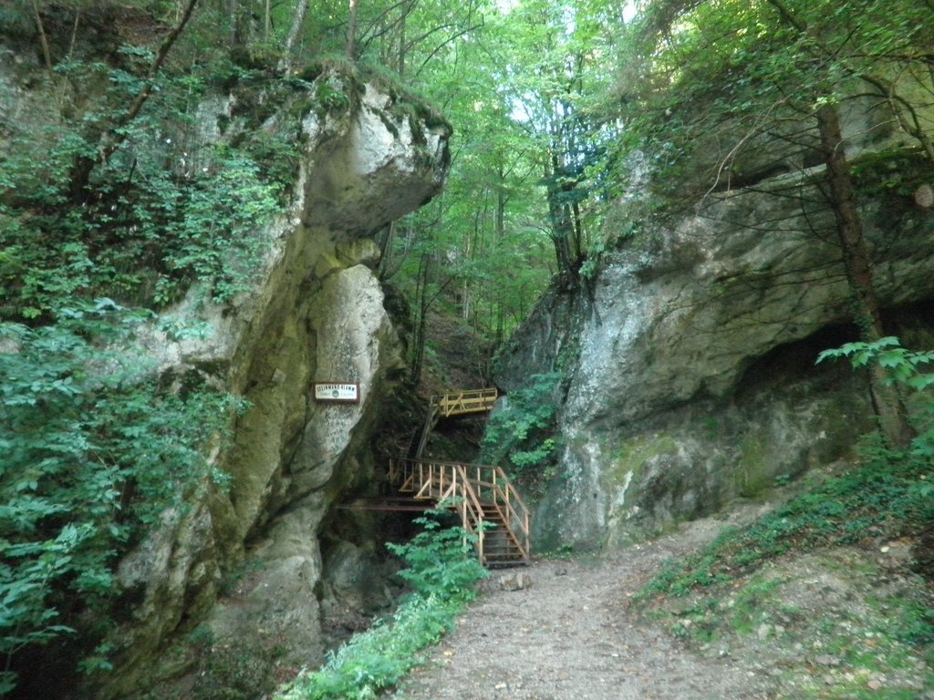 P9100008.JPG