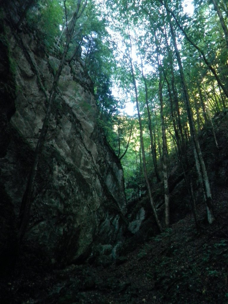 P9100009.JPG
