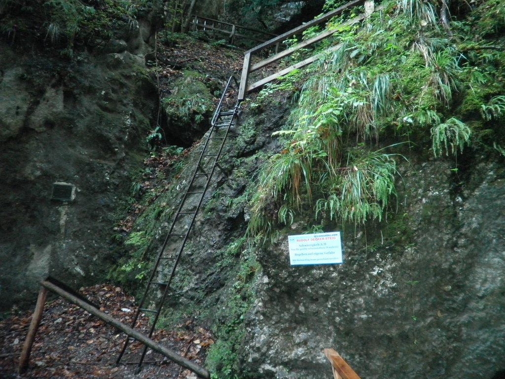 P9100012.JPG