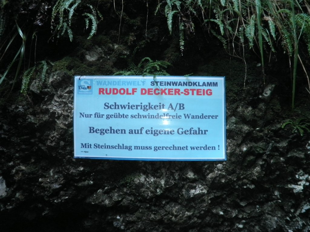 P9100013.JPG