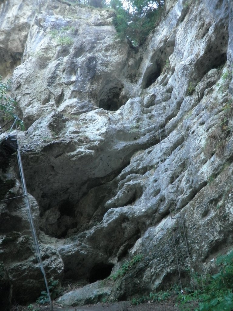 P9100014.JPG