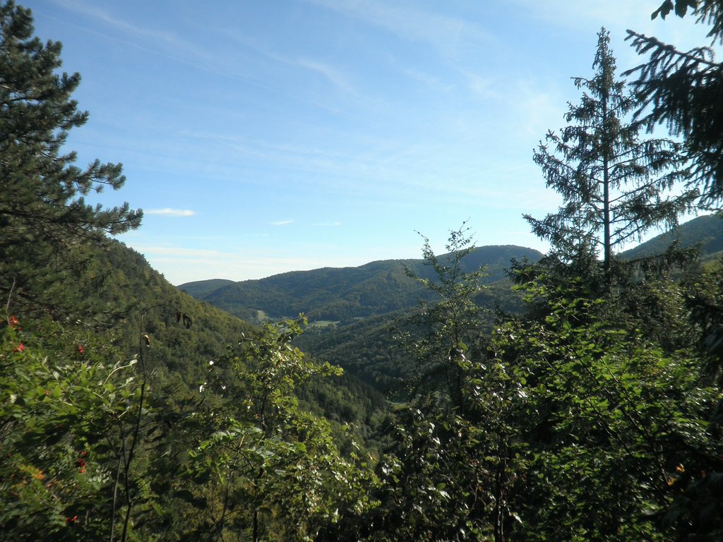 P9100019.JPG