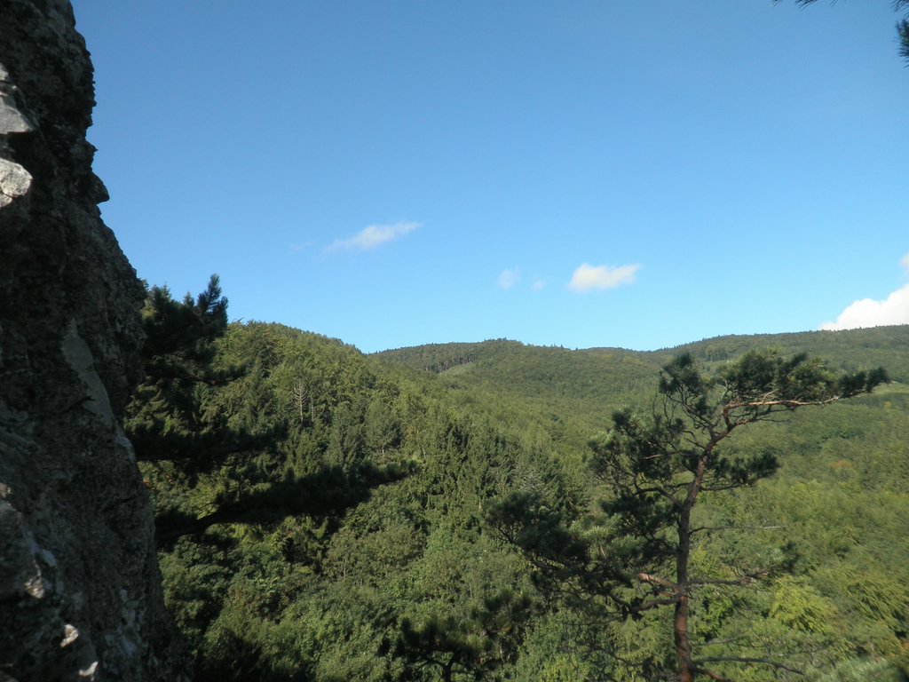 P9100022.JPG