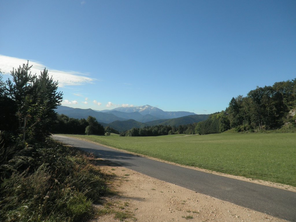 P9100026.JPG