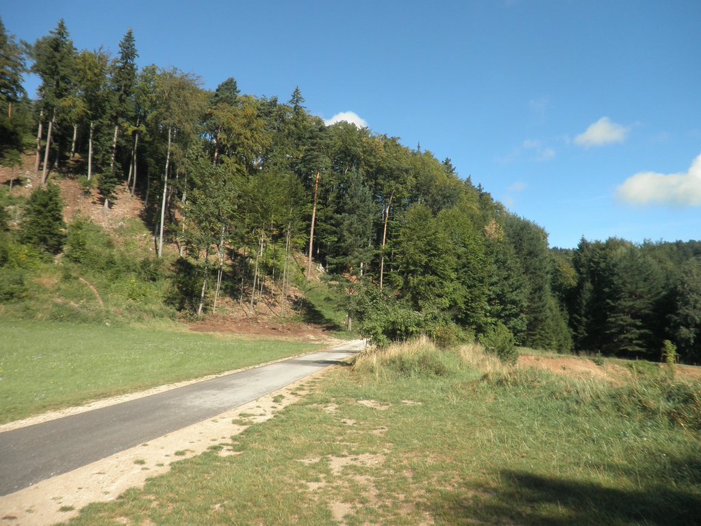 P9100028.JPG