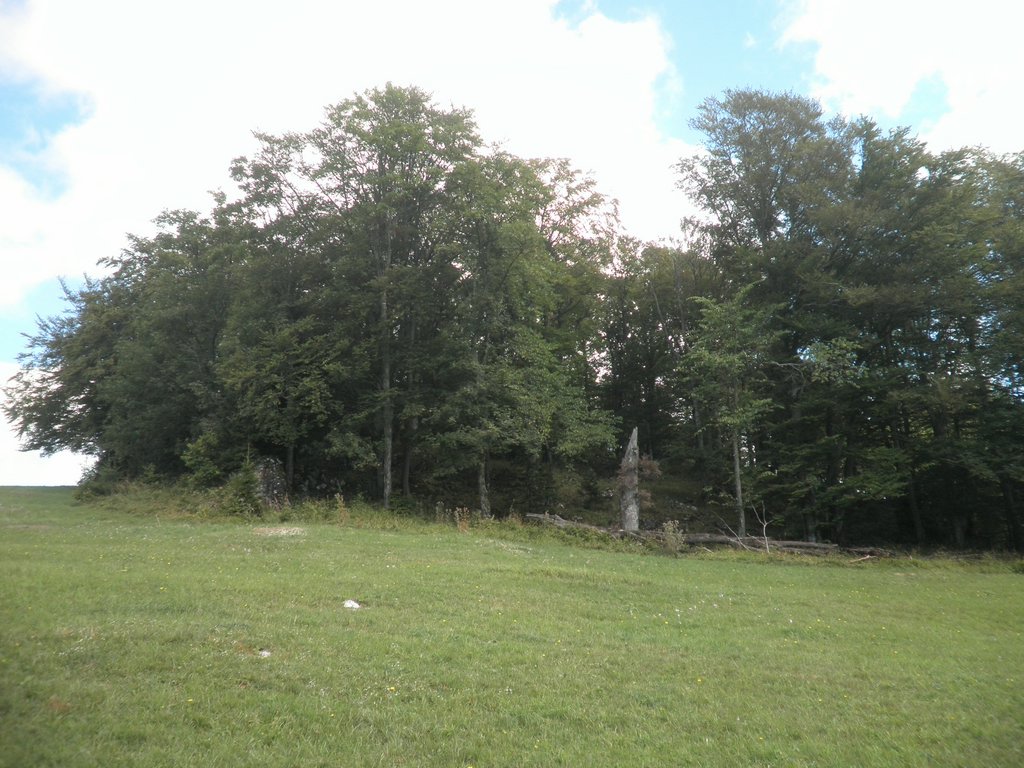 P9100043.JPG