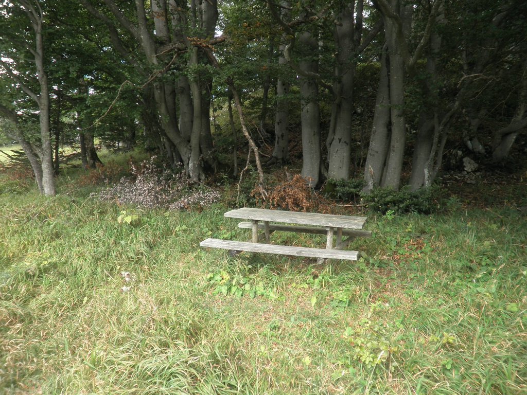 P9100045.JPG