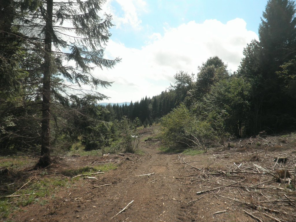 P9100047.JPG