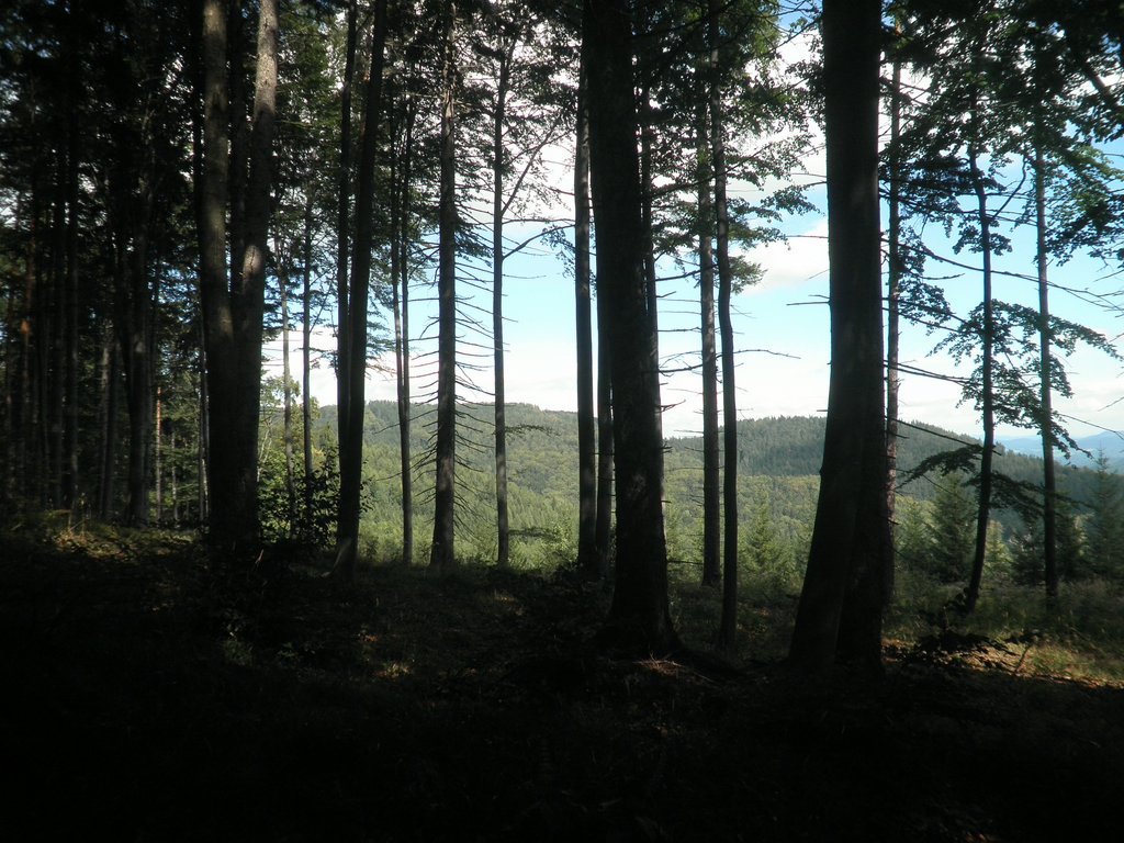 P9100048.JPG