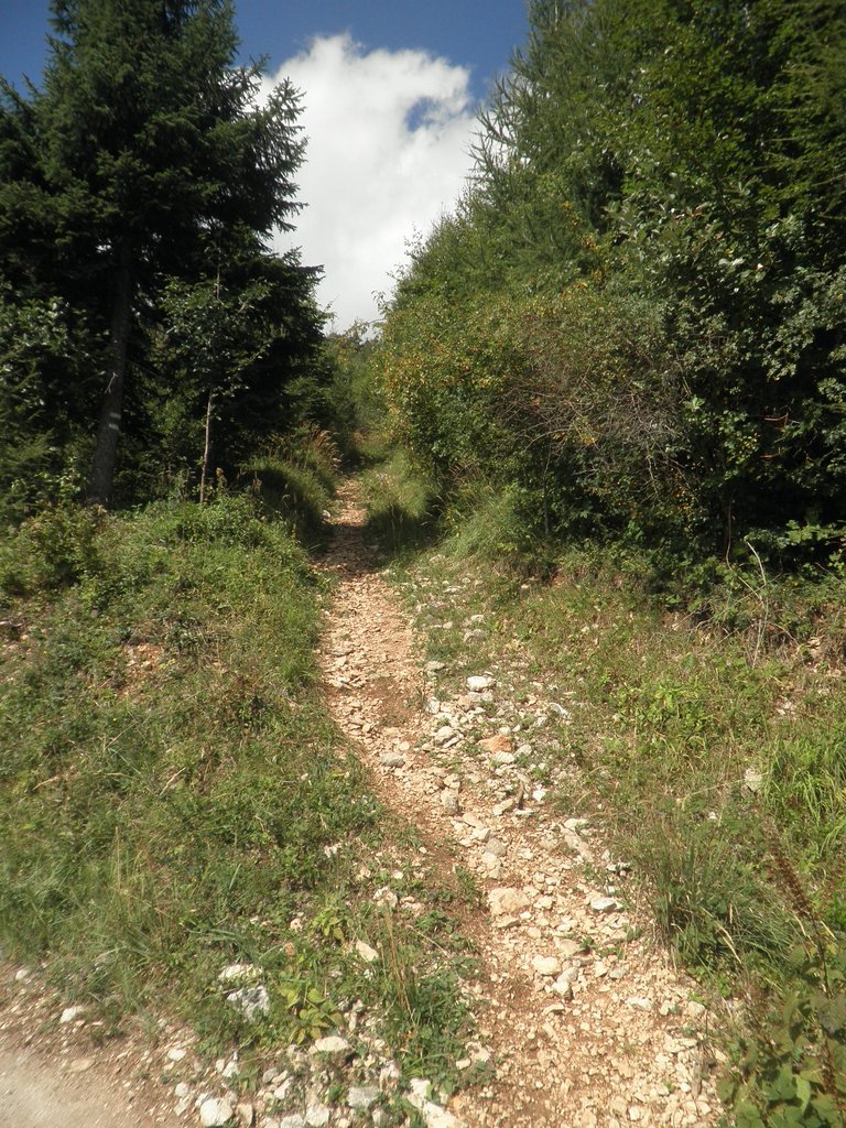 P9100050.JPG