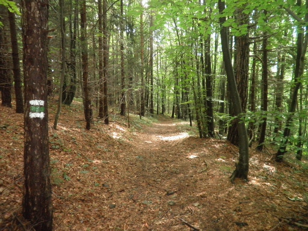 P9100052.JPG