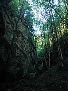 P9100009.JPG