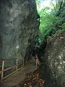 P9100011.JPG