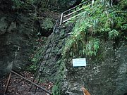 P9100012.JPG