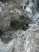 P9100015.JPG