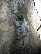 P9100016.JPG