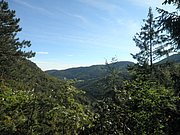 P9100019.JPG