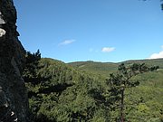 P9100022.JPG