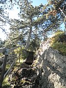 P9100023.JPG