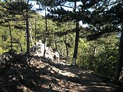 P9100025.JPG