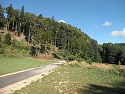P9100028.JPG