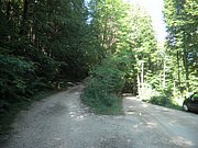 P9100029.JPG