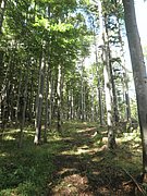 P9100030.JPG