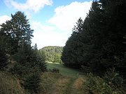 P9100031.JPG