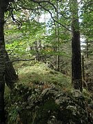 P9100034.JPG