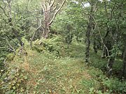 P9100037.JPG