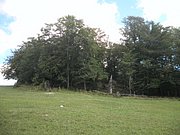 P9100043.JPG