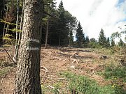 P9100046.JPG