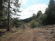 P9100047.JPG