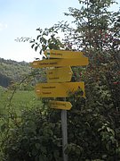 P9100054.JPG