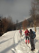 P1230008.JPG